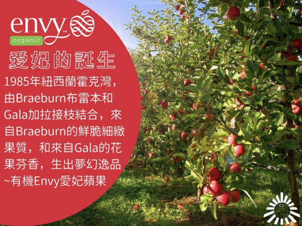 美國有機蘋果（28顆)