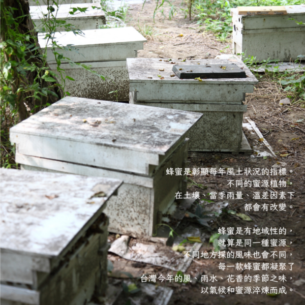 極品野蜂蜜（生蜂蜜）820g 